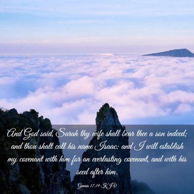 Picture 03 - Genesis 17:19 KJV - And God said, Sarah thy wife shall bear thee a - Bible Verse Picture