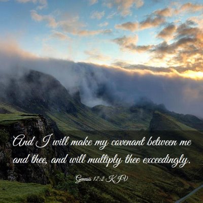 Picture 03 - Genesis 17:2 KJV - And I will make my covenant between me and thee, - Bible Verse Picture