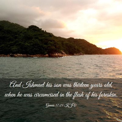 Picture 03 - Genesis 17:25 KJV - And Ishmael his son was thirteen years old, when - Bible Verse Picture
