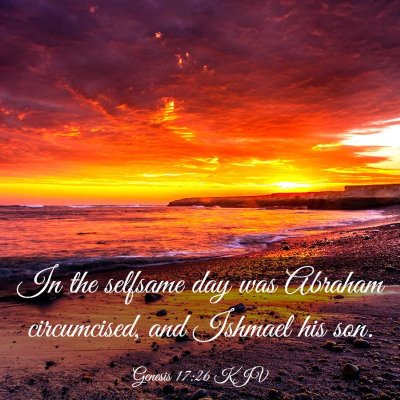 Picture 03 - Genesis 17:26 KJV - In the selfsame day was Abraham circumcised, and - Bible Verse Picture