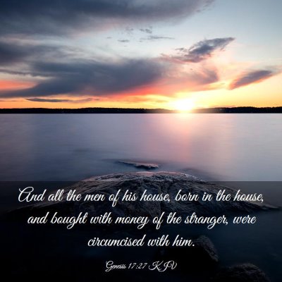 Picture 03 - Genesis 17:27 KJV - And all the men of his house, born in the house, - Bible Verse Picture