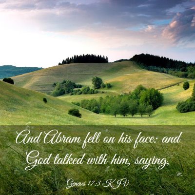Picture 03 - Genesis 17:3 KJV - And Abram fell on his face: and God talked with - Bible Verse Picture