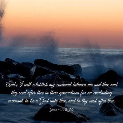 Picture 03 - Genesis 17:7 KJV - And I will establish my covenant between me and - Bible Verse Picture