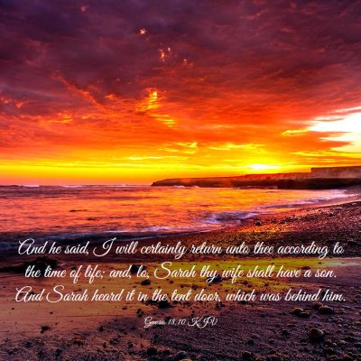 Picture 03 - Genesis 18:10 KJV - And he said, I will certainly return unto thee - Bible Verse Picture