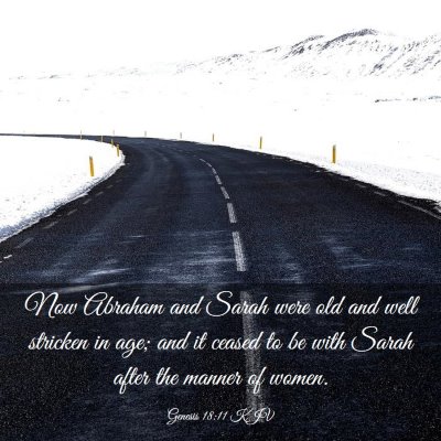 Picture 03 - Genesis 18:11 KJV - Now Abraham and Sarah were old and well stricken - Bible Verse Picture