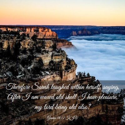 Picture 03 - Genesis 18:12 KJV - Therefore Sarah laughed within herself, saying, - Bible Verse Picture