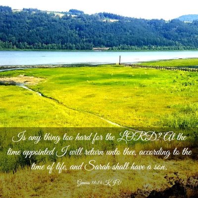 Picture 03 - Genesis 18:14 KJV - Is any thing too hard for the LORD? At the time - Bible Verse Picture