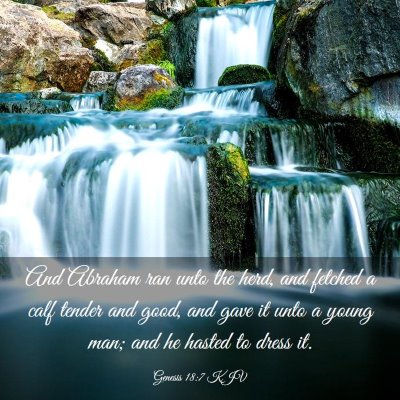 Picture 03 - Genesis 18:7 KJV - And Abraham ran unto the herd, and fetched a calf - Bible Verse Picture