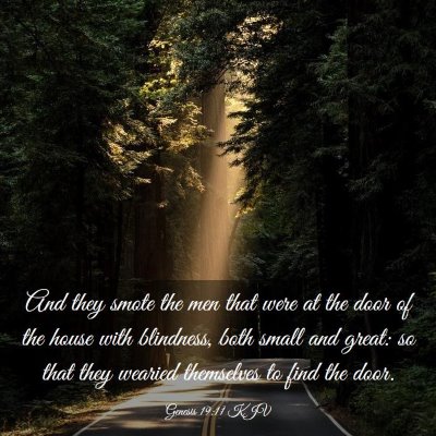 Picture 03 - Genesis 19:11 KJV - And they smote the men that were at the door of - Bible Verse Picture