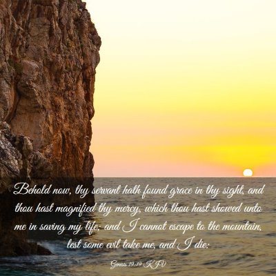 Picture 03 - Genesis 19:19 KJV - Behold now, thy servant hath found grace in thy - Bible Verse Picture