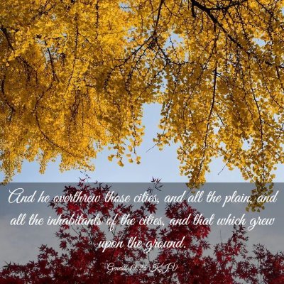 Picture 03 - Genesis 19:25 KJV - And he overthrew those cities, and all the plain, - Bible Verse Picture