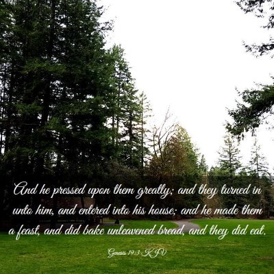 Picture 03 - Genesis 19:3 KJV - And he pressed upon them greatly; and they turned - Bible Verse Picture