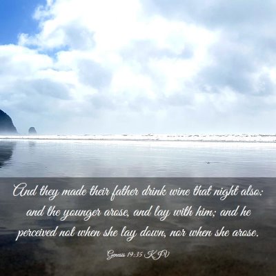Picture 03 - Genesis 19:35 KJV - And they made their father drink wine that night - Bible Verse Picture