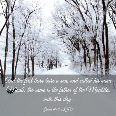 Picture 03 - Genesis 19:37 KJV - And the first born bare a son, and called his - Bible Verse Picture