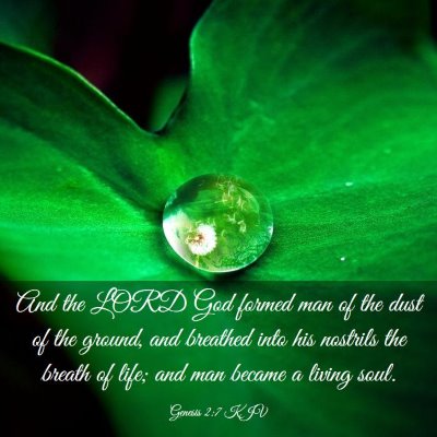 Picture 03 - Genesis 2:7 KJV - And the LORD God formed man of the dust of the - Bible Verse Picture