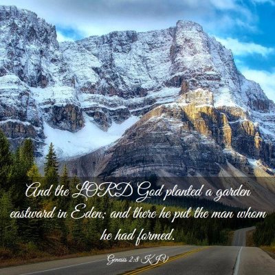 Picture 03 - Genesis 2:8 KJV - And the LORD God planted a garden eastward in - Bible Verse Picture