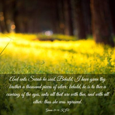 Picture 03 - Genesis 20:16 KJV - And unto Sarah he said, Behold, I have given thy - Bible Verse Picture