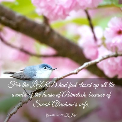 Picture 03 - Genesis 20:18 KJV - For the LORD had fast closed up all the wombs of - Bible Verse Picture
