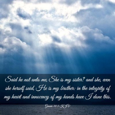 Picture 03 - Genesis 20:5 KJV - Said he not unto me, She is my sister? and she, - Bible Verse Picture