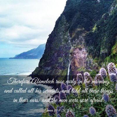 Picture 03 - Genesis 20:8 KJV - Therefore Abimelech rose early in the morning, - Bible Verse Picture