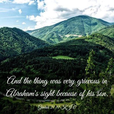 Picture 03 - Genesis 21:11 KJV - And the thing was very grievous in Abraham's - Bible Verse Picture