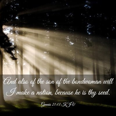 Picture 03 - Genesis 21:13 KJV - And also of the son of the bondwoman will I make - Bible Verse Picture