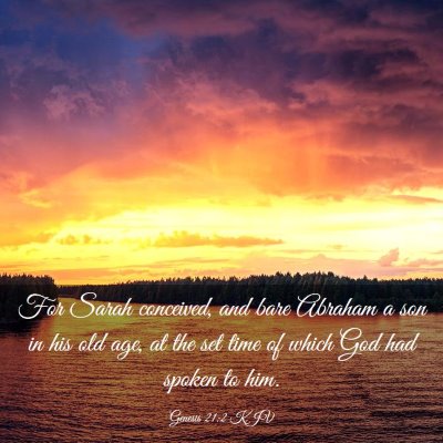 Picture 03 - Genesis 21:2 KJV - For Sarah conceived, and bare Abraham a son in - Bible Verse Picture