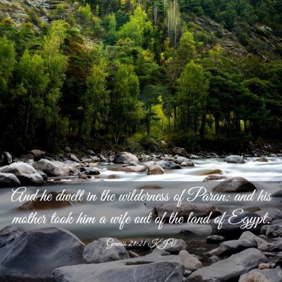 Picture 03 - Genesis 21:21 KJV - And he dwelt in the wilderness of Paran: and his - Bible Verse Picture