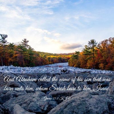Picture 03 - Genesis 21:3 KJV - And Abraham called the name of his son that was - Bible Verse Picture