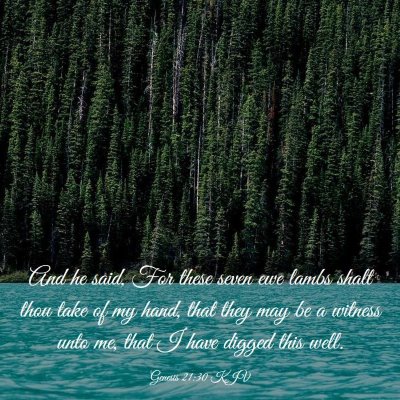 Picture 03 - Genesis 21:30 KJV - And he said, For these seven ewe lambs shalt thou - Bible Verse Picture