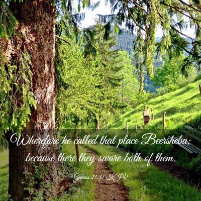 Picture 03 - Genesis 21:31 KJV - Wherefore he called that place Beersheba; because - Bible Verse Picture