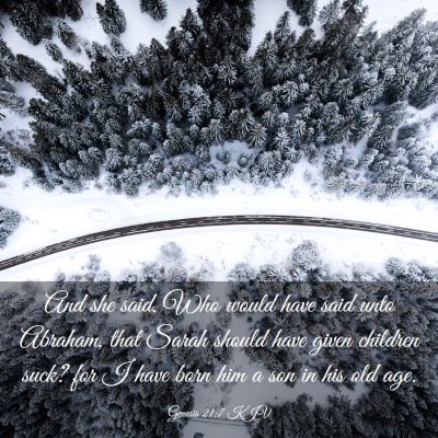 Picture 03 - Genesis 21:7 KJV - And she said, Who would have said unto Abraham, - Bible Verse Picture