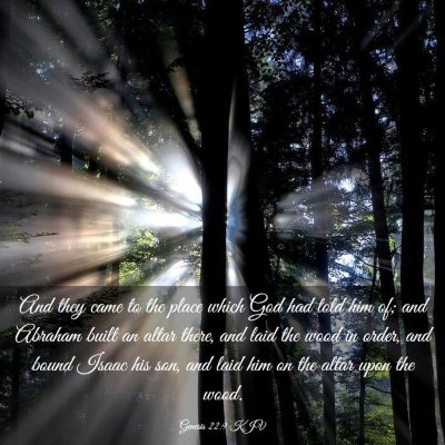 Picture 03 - Genesis 22:9 KJV - And they came to the place which God had told him - Bible Verse Picture