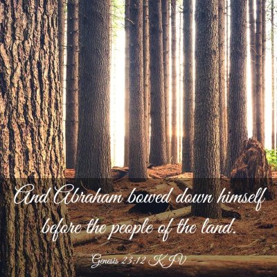 Picture 03 - Genesis 23:12 KJV - And Abraham bowed down himself before the people - Bible Verse Picture