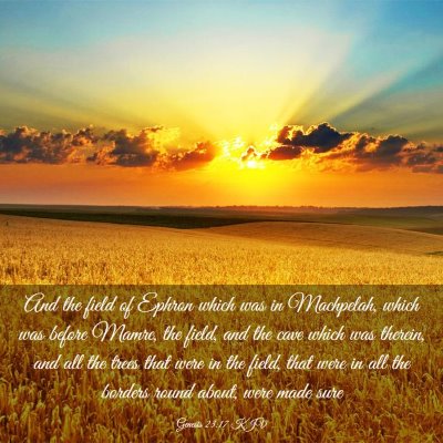 Picture 03 - Genesis 23:17 KJV - And the field of Ephron which was in Machpelah, - Bible Verse Picture