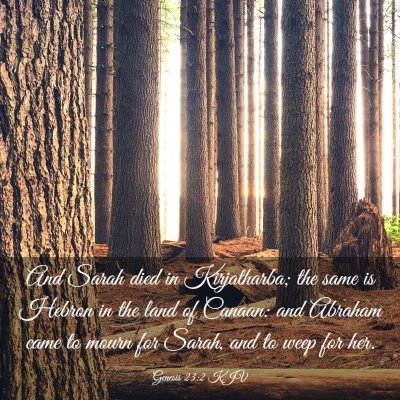 Picture 03 - Genesis 23:2 KJV - And Sarah died in Kirjatharba; the same is Hebron - Bible Verse Picture