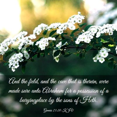 Picture 03 - Genesis 23:20 KJV - And the field, and the cave that is therein, were - Bible Verse Picture