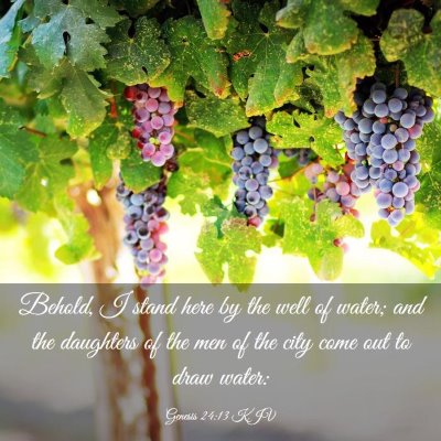 Picture 03 - Genesis 24:13 KJV - Behold, I stand here by the well of water; and - Bible Verse Picture