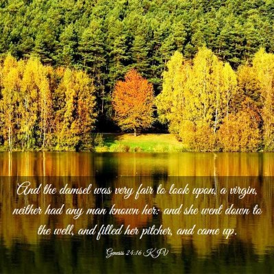 Picture 03 - Genesis 24:16 KJV - And the damsel was very fair to look upon, a - Bible Verse Picture