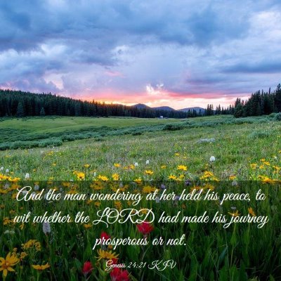 Picture 03 - Genesis 24:21 KJV - And the man wondering at her held his peace, to - Bible Verse Picture