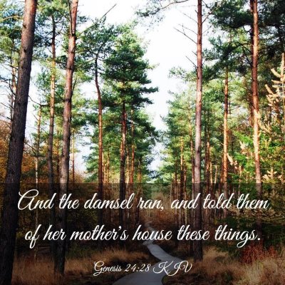 Picture 03 - Genesis 24:28 KJV - And the damsel ran, and told them of her mother's - Bible Verse Picture