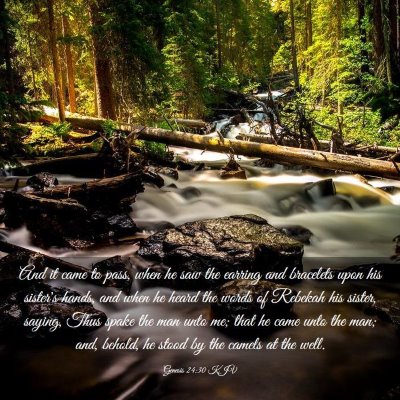 Picture 03 - Genesis 24:30 KJV - And it came to pass, when he saw the earring and - Bible Verse Picture