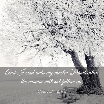 Picture 03 - Genesis 24:39 KJV - And I said unto my master, Peradventure the woman - Bible Verse Picture