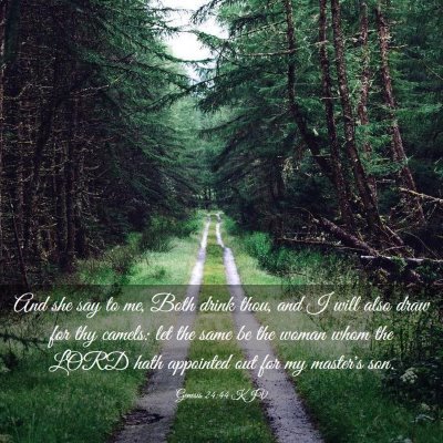 Picture 03 - Genesis 24:44 KJV - And she say to me, Both drink thou, and I will - Bible Verse Picture