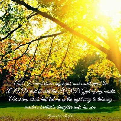 Picture 03 - Genesis 24:48 KJV - And I bowed down my head, and worshipped the - Bible Verse Picture
