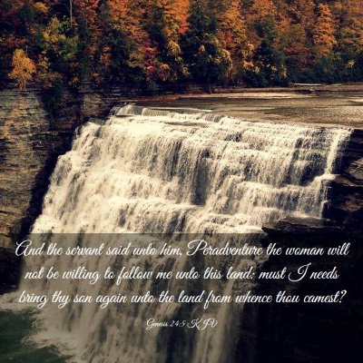 Picture 03 - Genesis 24:5 KJV - And the servant said unto him, Peradventure the - Bible Verse Picture