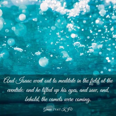 Picture 03 - Genesis 24:63 KJV - And Isaac went out to meditate in the field at - Bible Verse Picture