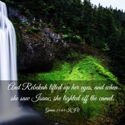 Picture 03 - Genesis 24:64 KJV - And Rebekah lifted up her eyes, and when she saw - Bible Verse Picture