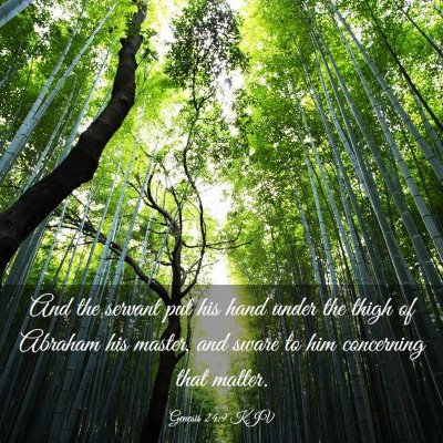 Picture 03 - Genesis 24:9 KJV - And the servant put his hand under the thigh of - Bible Verse Picture