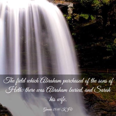Picture 03 - Genesis 25:10 KJV - The field which Abraham purchased of the sons of - Bible Verse Picture